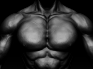 realistic muscular man zbrush hd 3D Модель