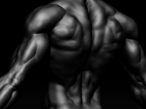 realistic muscular man zbrush hd 3D Модель
