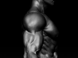 realistic muscular man zbrush hd 3D Модель