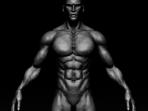 realistic muscular man zbrush hd 3D Model