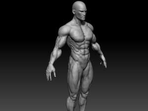 realistic muscular man zbrush hd 3D Модель