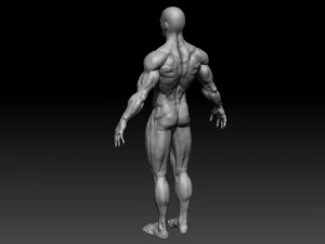 realistic muscular man zbrush hd 3D Model