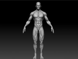 realistic muscular man zbrush hd 3D Модель