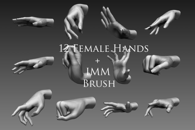 12 female hands imm brush for zbrush 3D 모델 .c4d .max .obj .3ds .fbx .stl .blend 