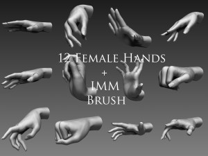 12 female hands imm brush for zbrush 3D Model