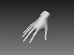 12 female hands imm brush for zbrush 3D Model