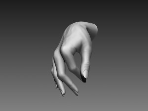 12 female hands imm brush for zbrush 3D 모델