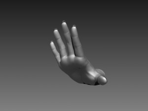 12 female hands imm brush for zbrush 3D 모델