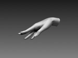 12 female hands imm brush for zbrush 3D Model