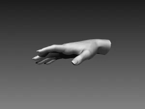 12 female hands imm brush for zbrush 3D Model