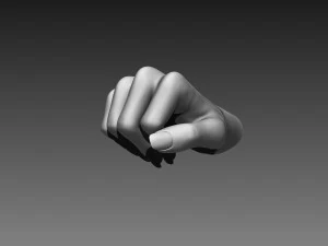 12 female hands imm brush for zbrush 3D Model