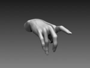 12 female hands imm brush for zbrush 3D Model