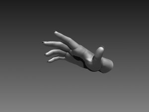 12 female hands imm brush for zbrush 3D 모델