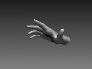 12 female hands imm brush for zbrush 3D Model