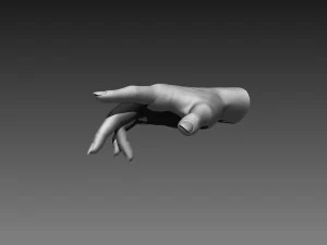 12 female hands imm brush for zbrush 3D Model