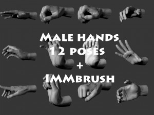 12 male hands imm brush for zbrush 3D Model