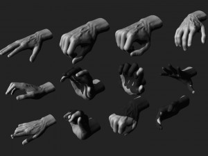12 male hands imm brush for zbrush Modèle 3D