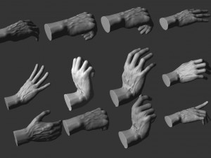 12 male hands imm brush for zbrush Modèle 3D