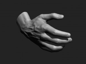 12 male hands imm brush for zbrush Modèle 3D