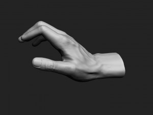12 male hands imm brush for zbrush Modèle 3D