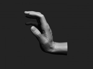 12 male hands imm brush for zbrush Modèle 3D
