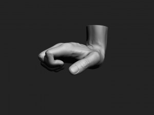 12 male hands imm brush for zbrush Modèle 3D