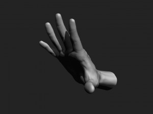 12 male hands imm brush for zbrush Modèle 3D
