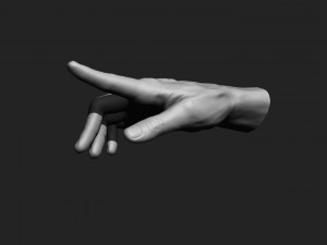 12 male hands imm brush for zbrush Modèle 3D