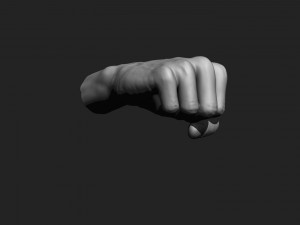 12 male hands imm brush for zbrush Modèle 3D