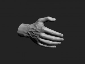 12 male hands imm brush for zbrush Modèle 3D