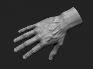 12 male hands imm brush for zbrush Modèle 3D