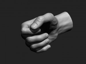 12 male hands imm brush for zbrush Modèle 3D