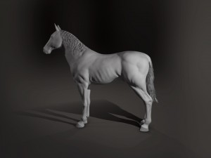 horse 3D Model