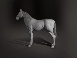 horse 3D Model