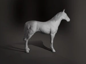 horse 3D Model