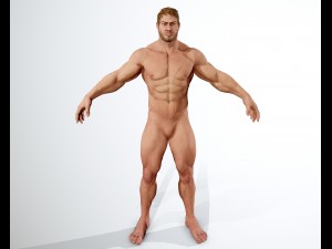 realistic muscular man 3D 모델