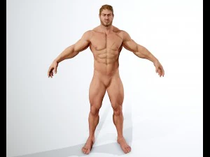 realistic muscular man 3D Model