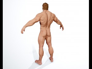 realistic muscular man 3D 모델
