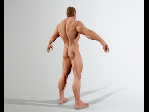 realistic muscular man 3D 모델