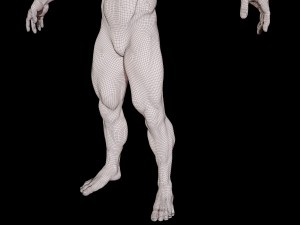 realistic muscular man 3D 모델