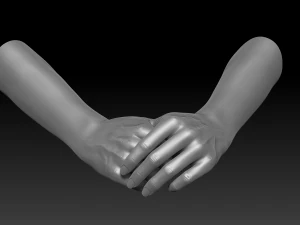 3d printable female hands 20 poses pack 3D Model