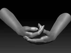 3d printable female hands 20 poses pack 3D Model