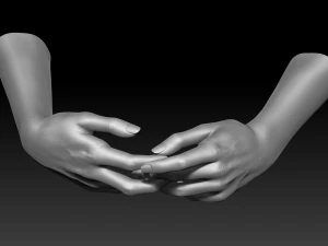 3d printable female hands 20 poses pack 3D Model