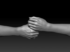 3d printable female hands 20 poses pack 3D Model
