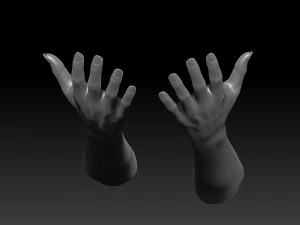 3d printable female hands 20 poses pack 3D Model