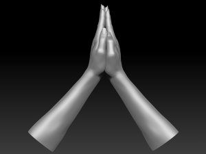 3d printable female hands 20 poses pack 3D Модель