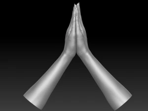 3d printable female hands 20 poses pack 3D Model