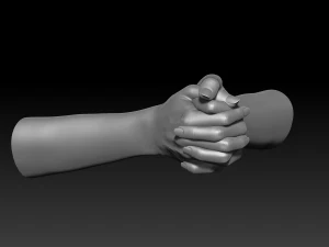 3d printable female hands 20 poses pack 3D Model