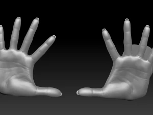 3d printable female hands 20 poses pack 3D Model