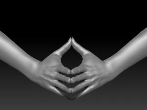 3d printable female hands 20 poses pack 3D Model